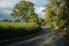 The B4220 near Bosbury (C) Philip Halling - Geograph - 1552899.jpg