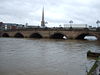 Worcester Bridge - Geograph - 355544.jpg