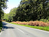 B4234, New Road, heading north near Parkend - Geograph - 1532946.jpg