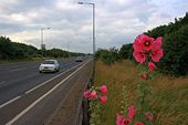 A1085 Trunk Road - Geograph - 1401714.jpg