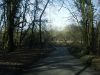 Bottrells Lane at Hills Wood - Geograph - 4868953.jpg