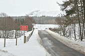 Bridge over the Farigaig - Geograph - 1733264.jpg