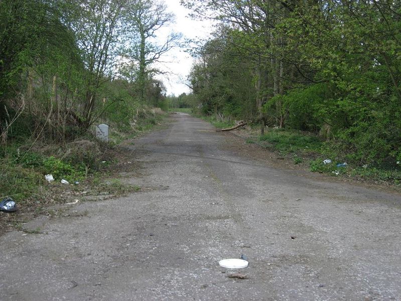 File:Abandoned Section of A8 between Bishopton & Langbank - Coppermine - 17969.JPG