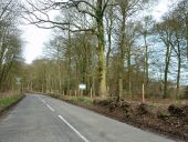 Road to Askett by Weyburn's Wood - Geograph - 4402969.jpg