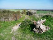 Buttercup Road from Punch's Cross - Geograph - 4435224.jpg