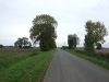 Avenue Farm Road - Geograph - 4719938.jpg