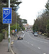 Bus Lane, Malone Road Belfast - Geograph - 713449.jpg