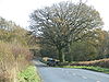 The B3179 by Woodbury Wood - Geograph - 1597985.jpg