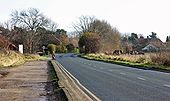 Entering Pocklington from the west - Geograph - 1053400.jpg