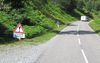 A832 Red squirrel crossing.jpg