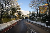 Calverley Park Gardens - Geograph - 1669943.jpg