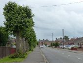 Norwood Road in March - Geograph - 5228081.jpg