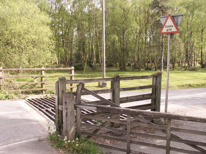 File:Cattle grid Wellow.jpg