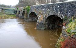 Shaw's Bridge, Belfast (4) - Geograph - 659909.jpg