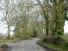 Rural lane junction - Geograph - 4402848.jpg