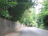 The old road through Mickleham - Geograph - 463800.jpg
