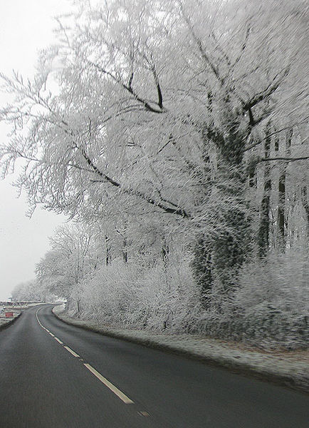 File:Hoar-frosted copse by the B4058 - Geograph - 1101669.jpg