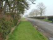 Tree lined Road - Geograph - 379869.jpg