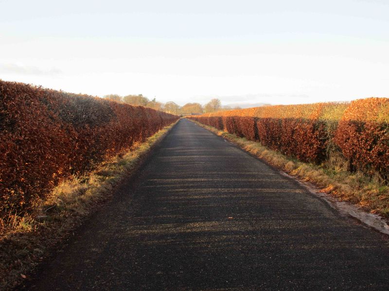 File:C41 Maryton to Barnhead.jpg