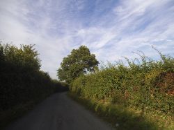 Mimms Lane, Shenley - Geograph - 4603443.jpg