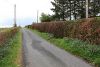 C58 Minor road off the B788 Kilmacolm Road - Geograph - 6459869.jpg