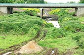 New dual carriageway, Ballymena (4) - Geograph - 1326440.jpg