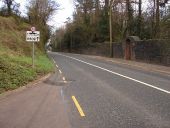 Carrigaline Road - Geograph - 757678.jpg