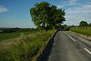 Road between Knighton and Woolstone - Geograph - 1371335.jpg