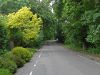 Redhill Road (C) Alan Hunt - Geograph - 4013553.jpg