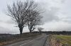 B9168 out of Dornoch (C) Alan Reid - Geograph - 3426693.jpg