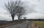 B9168 out of Dornoch (C) Alan Reid - Geograph - 3426693.jpg