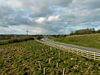 Nesscliffe bypass - Geograph - 132394.jpg