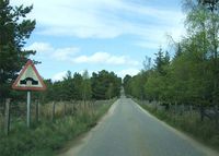 Approach to a bridge over Allt na Coille - Geograph - 443230.jpg