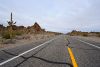 Arizona Route 85 Cacti.jpg