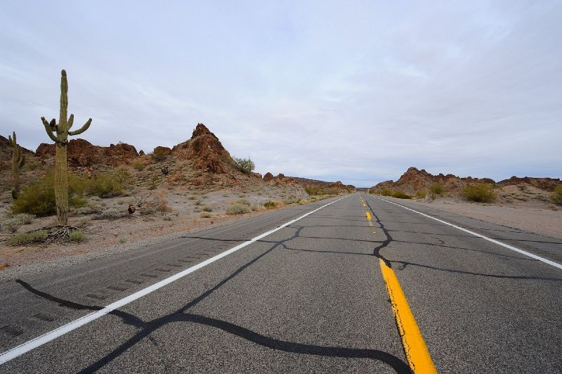 File:Arizona Route 85 Cacti.jpg