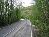 Woods above the road - Geograph - 1306182.jpg