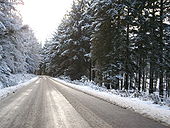 B993 through Turks Wood - Geograph - 1068190.jpg