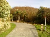 Road near Abbey Pool - Geograph - 2163765.jpg