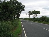 Street Lane - Geograph - 217662.jpg