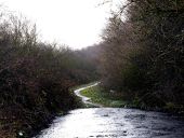 Netherton Lane (C) Norman Caesar - Geograph - 3817221.jpg