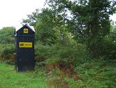 AA callbox at Brachla - Geograph - 250766.jpg