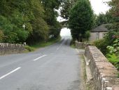 Tree arch and Bridge near Shiskine on the Isle of Arran - Geograph - 1050297.jpg