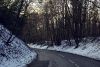 Pink Road through Keepershill Wood - Geograph - 3297283.jpg