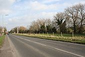 A338 past the canal - Geograph - 1206507.jpg