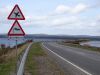 A9 Dornoch Firth Bridge - aircraft and side winds.jpg