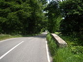 B966 eastwards from Devilly Bridge - Geograph - 1384398.jpg