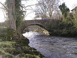 Llandysul Bridge - Geograph - 682886.jpg