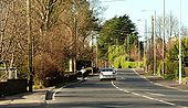 The Shore Road near Greenisland (1) - Geograph - 733485.jpg