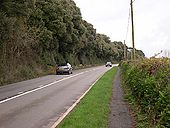 The A374 by Horson Plantation - Geograph - 373906.jpg