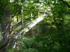 Glen Bridge arch - Geograph - 5416775.jpg